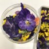 freeze-dried flowers
