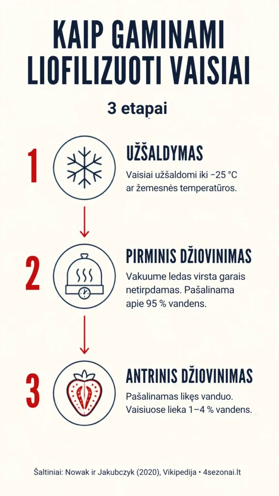 Trys liofilizavimo etapai: užšaldymas, pirminis džiovinimas ir antrinis džiovinimas